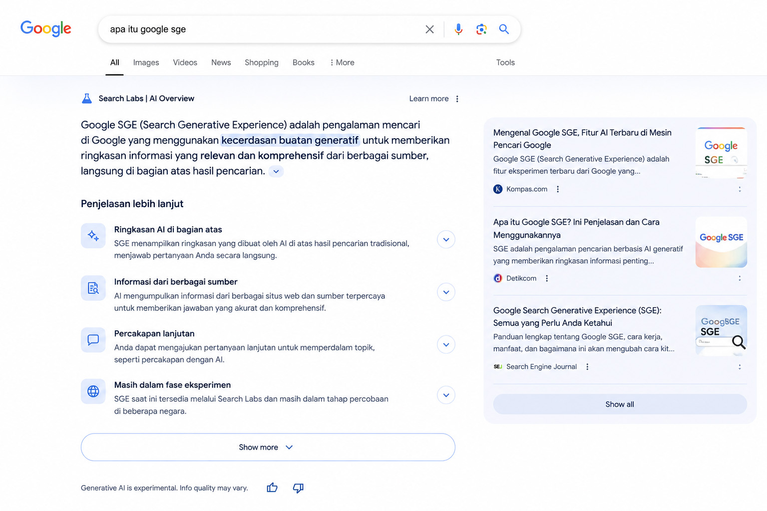 Jasa SGE Google Tingkatkan Trafik Penjualan